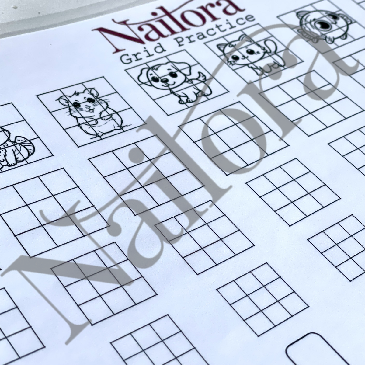Grid Practice 10 — GP11 Laminated Practice Sheet