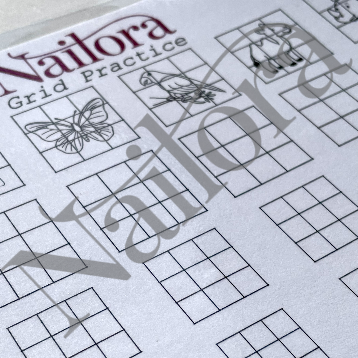 A close-up of a Nailora Grid Practice sheet with black grid boxes and small line-art illustrations, including a butterfly, on a white background. A large translucent Nailora watermark overlays the page.