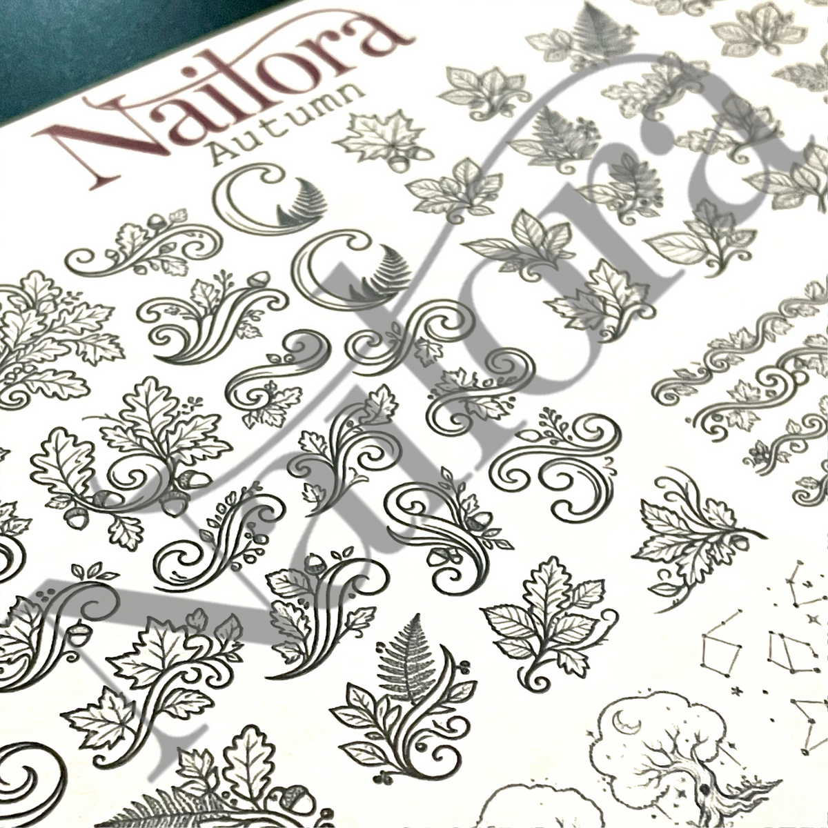 Nailora Autumn nail art sheet featuring intricate black line-art illustrations of leaves, ferns, acorns, and scrollwork on a white background, with a translucent diagonal watermark overlay.